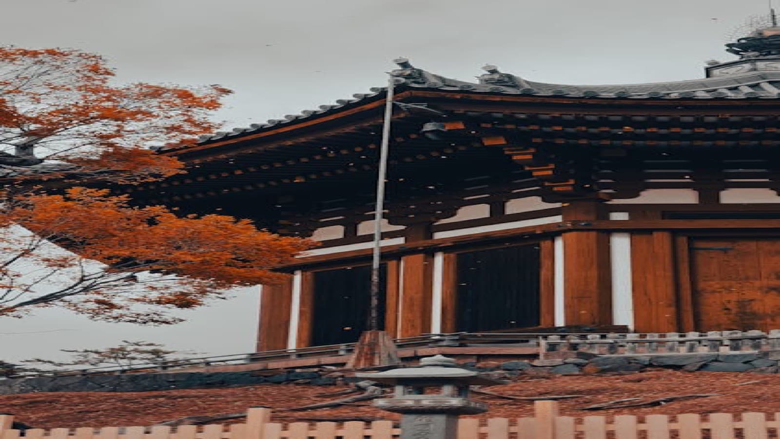 When to visit Japan: the value window most travelers miss